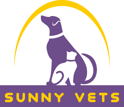 TrueColor® - Upload - Transfers by MoreTranz