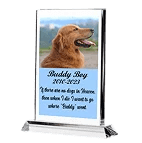 TrueColor® UV - Upload - Transfers by MoreTranz